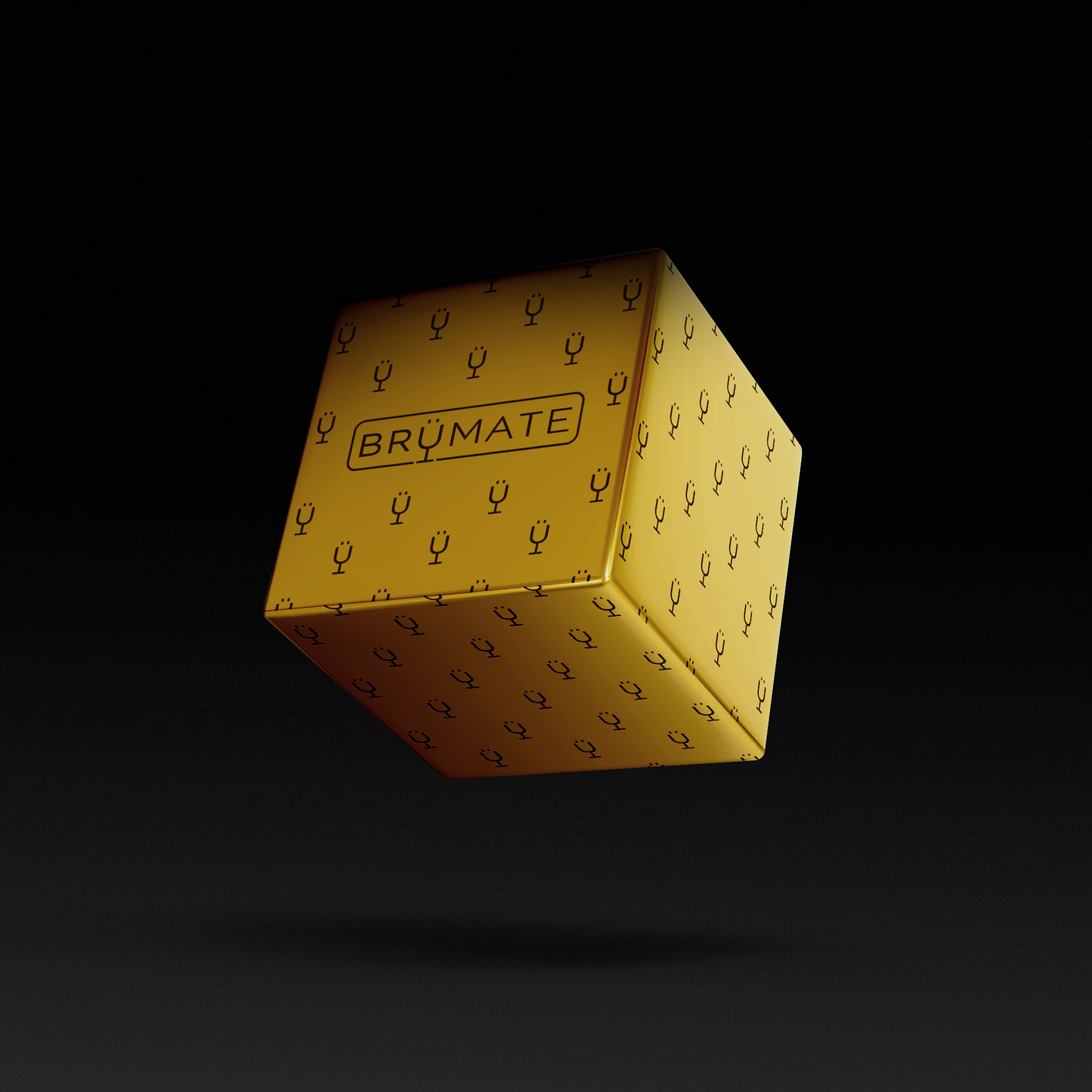 premium-mystery-item-39-70-value-i6 IMG-1548.png