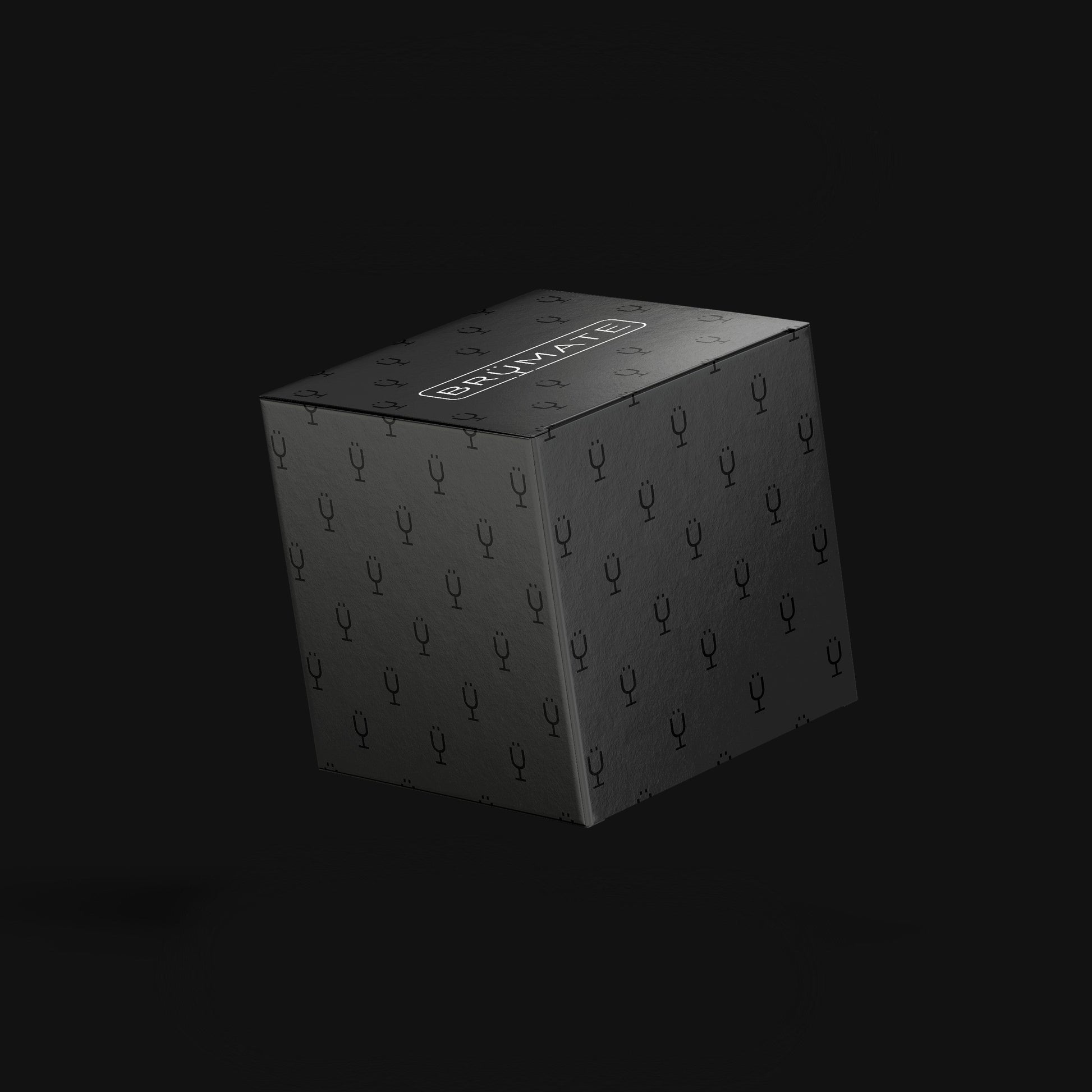 mystery-item-24-49-value-u2 Mystery-Box-FINAL.jpg